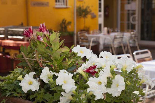 Terasse Restaurant Bistro ChiaraMar mit Blumen