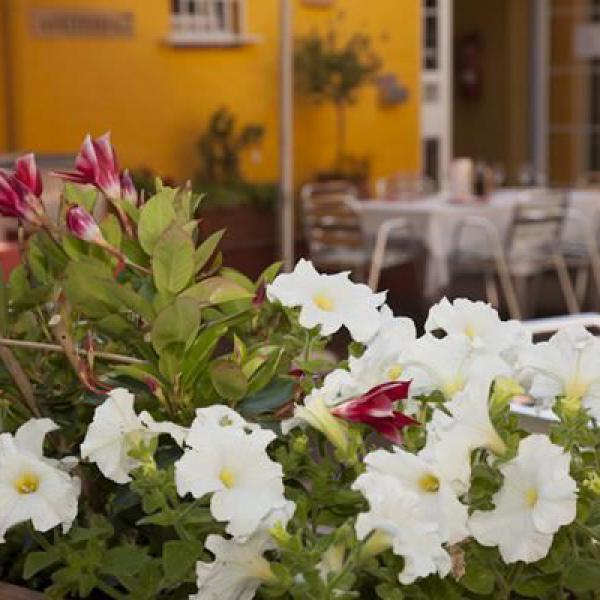 Terasse Restaurant Bistro ChiaraMar mit Blumen